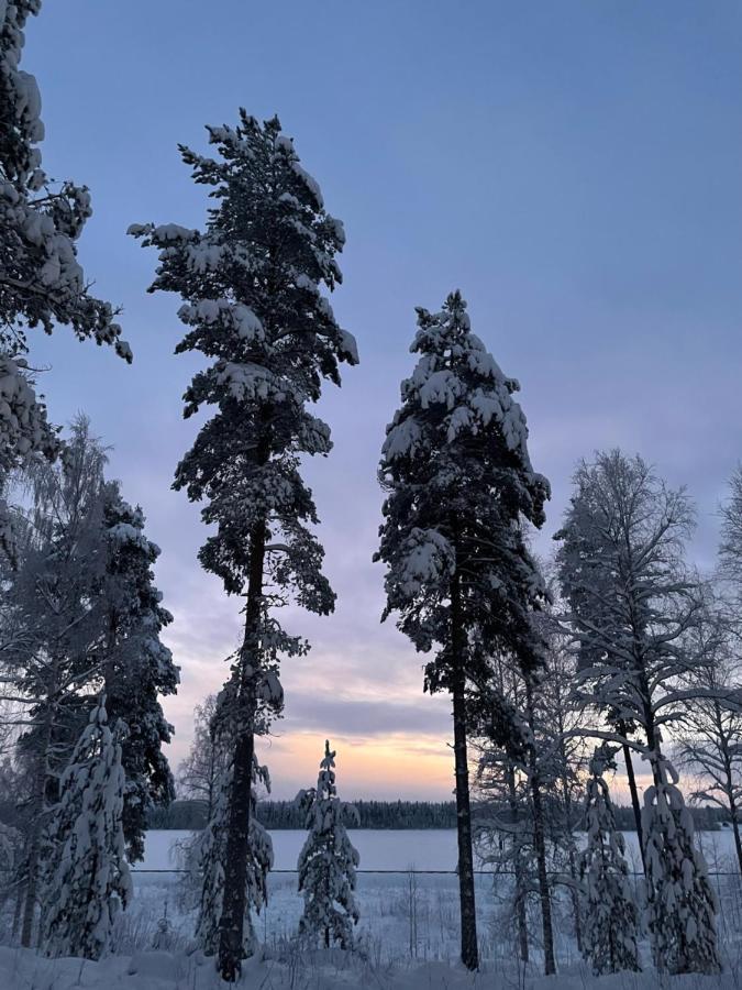 Rieskapaikka Villa Koivu Luaran gambar