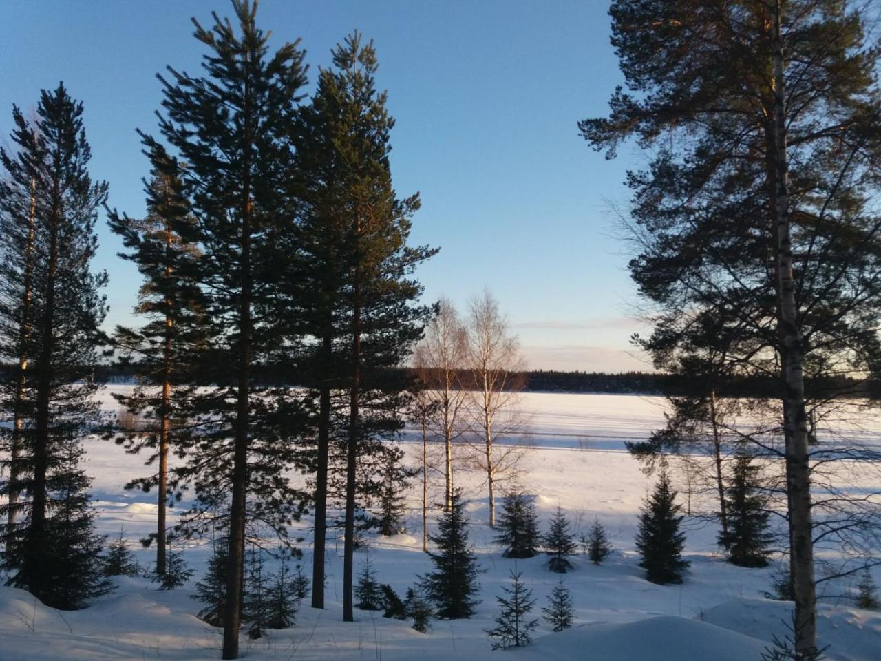 Rieskapaikka Villa Koivu Luaran gambar